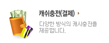 캐쉬충전